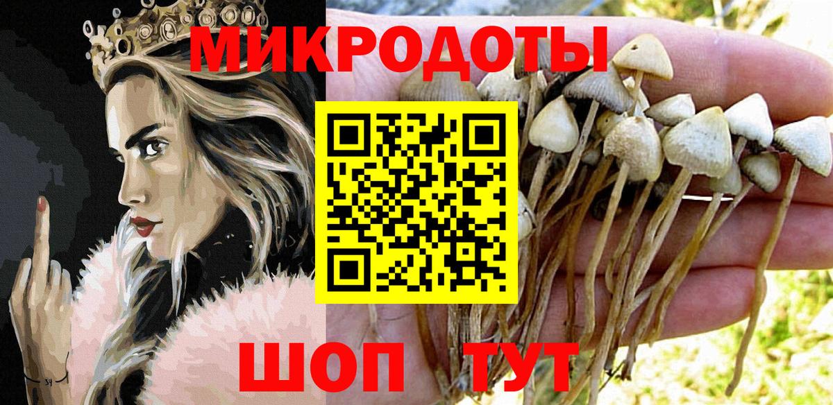 Псилоцибиновые грибы MAGIC MUSHROOMS  Галлюциногенные грибы Psilocybe  Вход с VPN  Вичуга 
